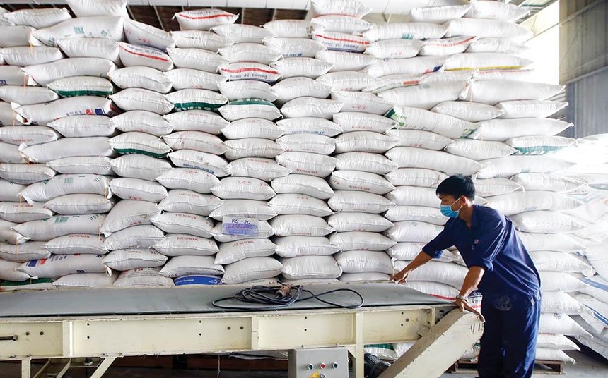 Nhập khẩu gạo Ấn Độ về Việt Nam tăng bất thường