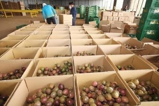 Thị trường Anh nhập khẩu 3,6 triệu tấn hoa quả, trị giá hơn 5,4 tỷ USD mỗi năm, là điểm đến cho nhiều loại trái cây nhiệt đới của Việt Nam.