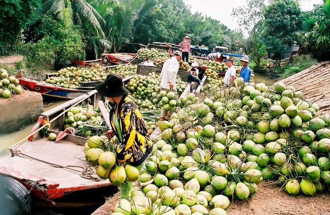 Vinamilk đầu tư mua 25% vốn Dừa Á Châu
