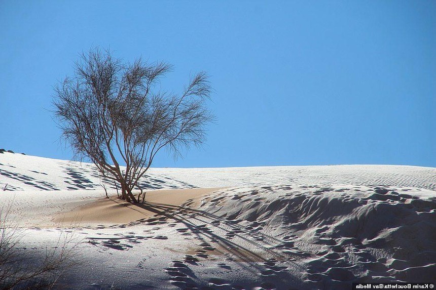 Tuyết phủ trắng vùng sa mạc cằn cỗi