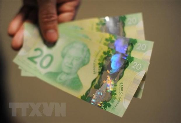 Đồng đôla Canada. (Ảnh: AFP/TTXVN)