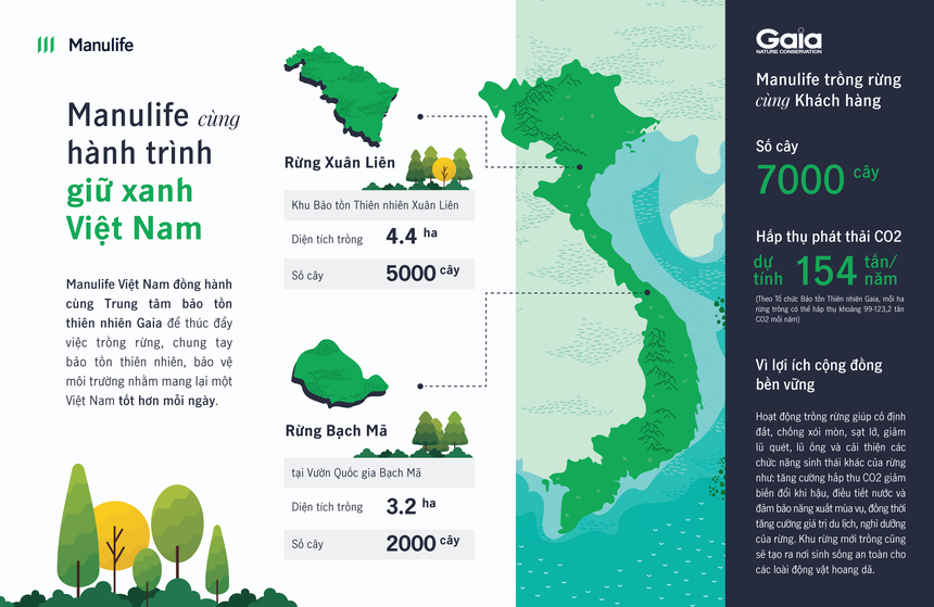 Manulife Việt Nam cùng khách hàng trồng rừng 