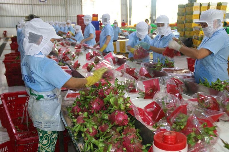 Nông sản Việt: Được cả mùa và giá ngay từ đầu năm
