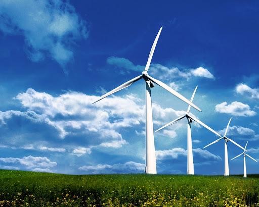 Quảng Trị cho nhà đầu tư thuê đất triển khai dự án điện gió Liên Lập
