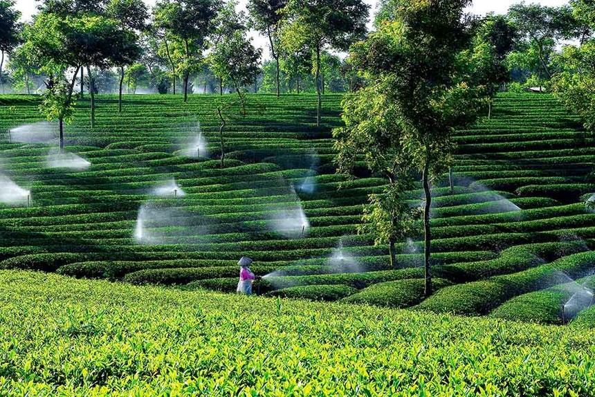 Việt Nam hướng đến một nền nông nghiệp sinh thái bền vững vào năm 2030