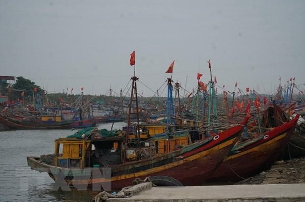 Hàng nghìn con tàu tại Thanh Hóa nằm bờ do giá xăng dầu tăng kỷ lục Hàng nghìn con tàu tại Thanh Hóa nằm bờ do giá xăng dầu tăng kỷ lục